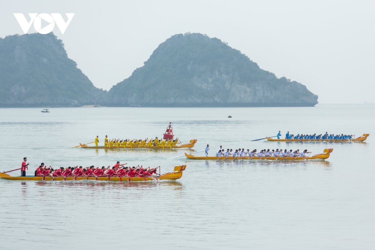 dragon boat racing on cat ba island excites crowds picture 9