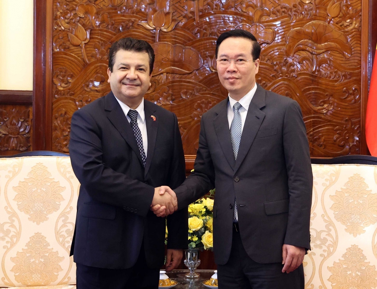 vietnamese president hosts ambassadors of uae, sri lanka, chile picture 3