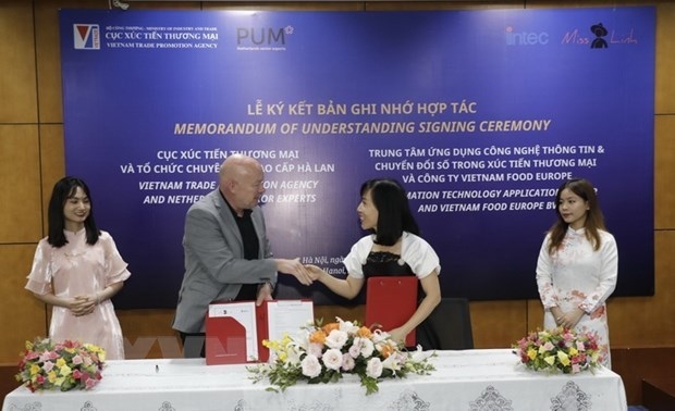 vietnam, the netherlands promote exports through digital environment picture 1