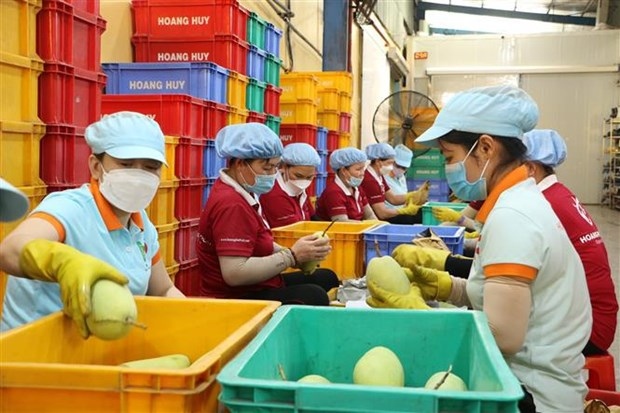 officials seek to boost agricultural trade between vietnamese, chinese localities picture 1