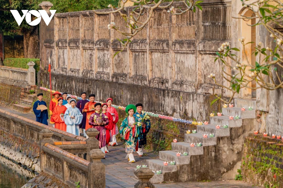 discovering cornflower blossoming season in hue citadel and sampling lotus tea picture 3