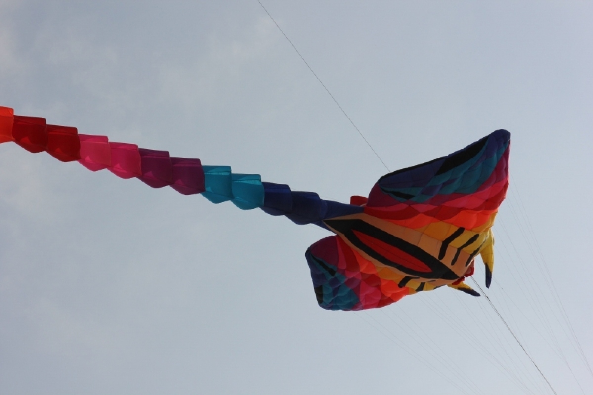 vung tau kite flying festival excites crowds picture 11