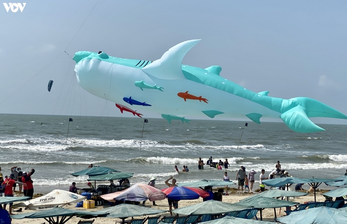 vung tau kite flying festival excites crowds picture 3