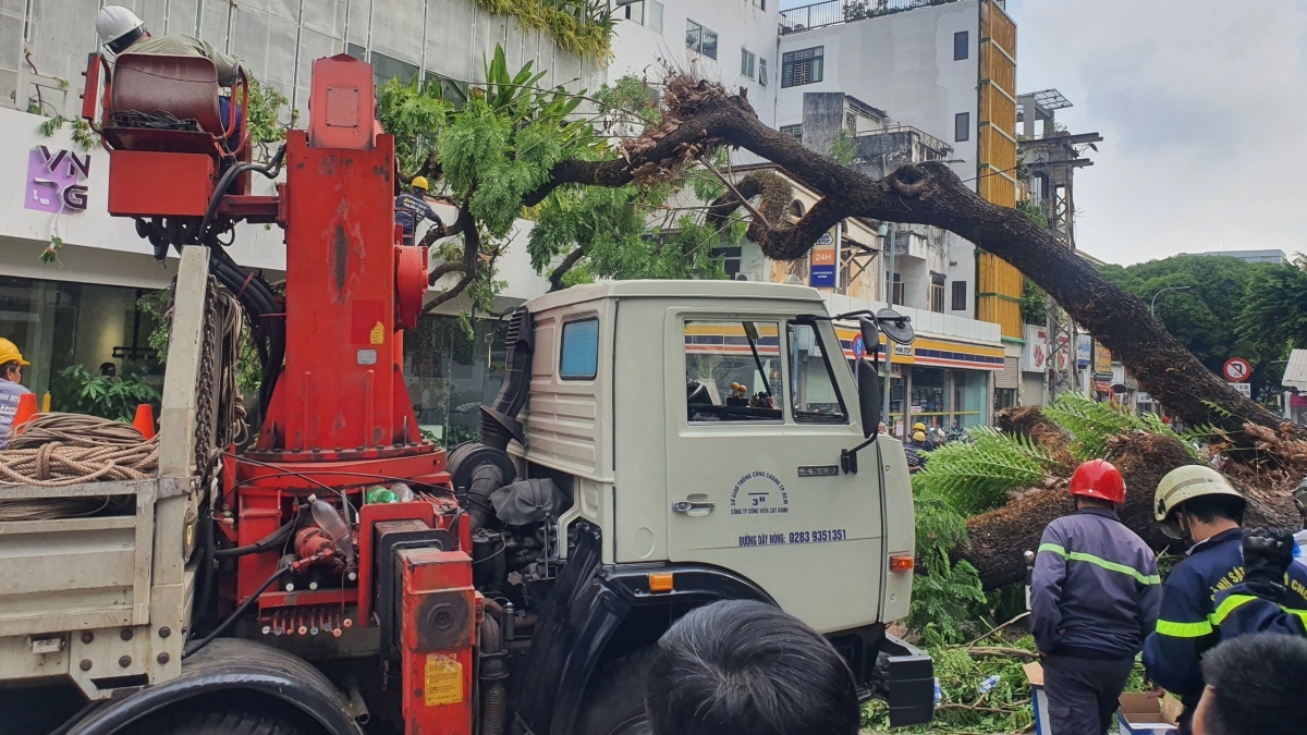 Vụ cây đổ ở TPHCM Hỗ trợ kinh phí điều trị cho các nạn nhân