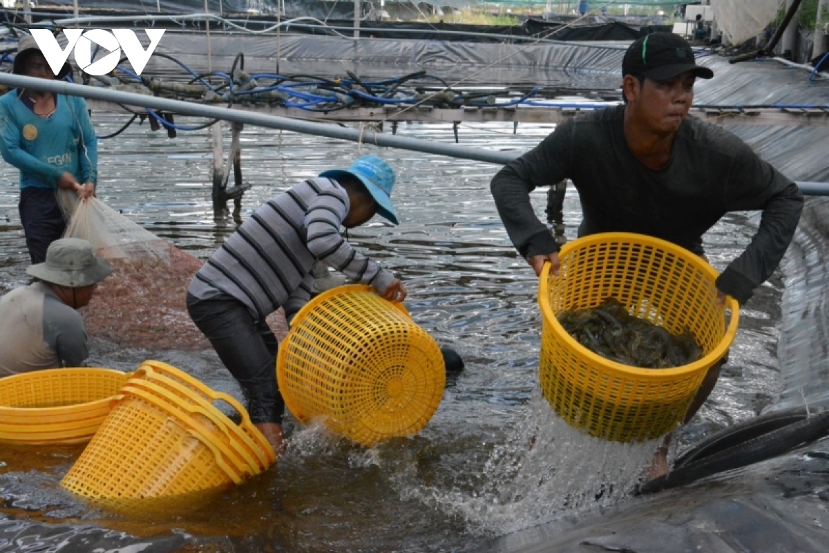 150 domestic and foreign firms attend vietshrimp 2023 picture 1