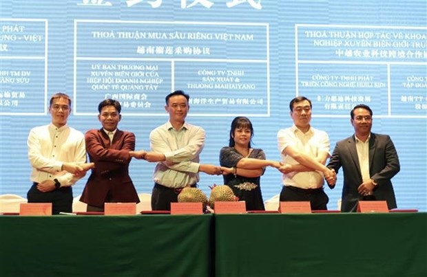 vietnam, china s guangxi promote trade cooperation picture 1