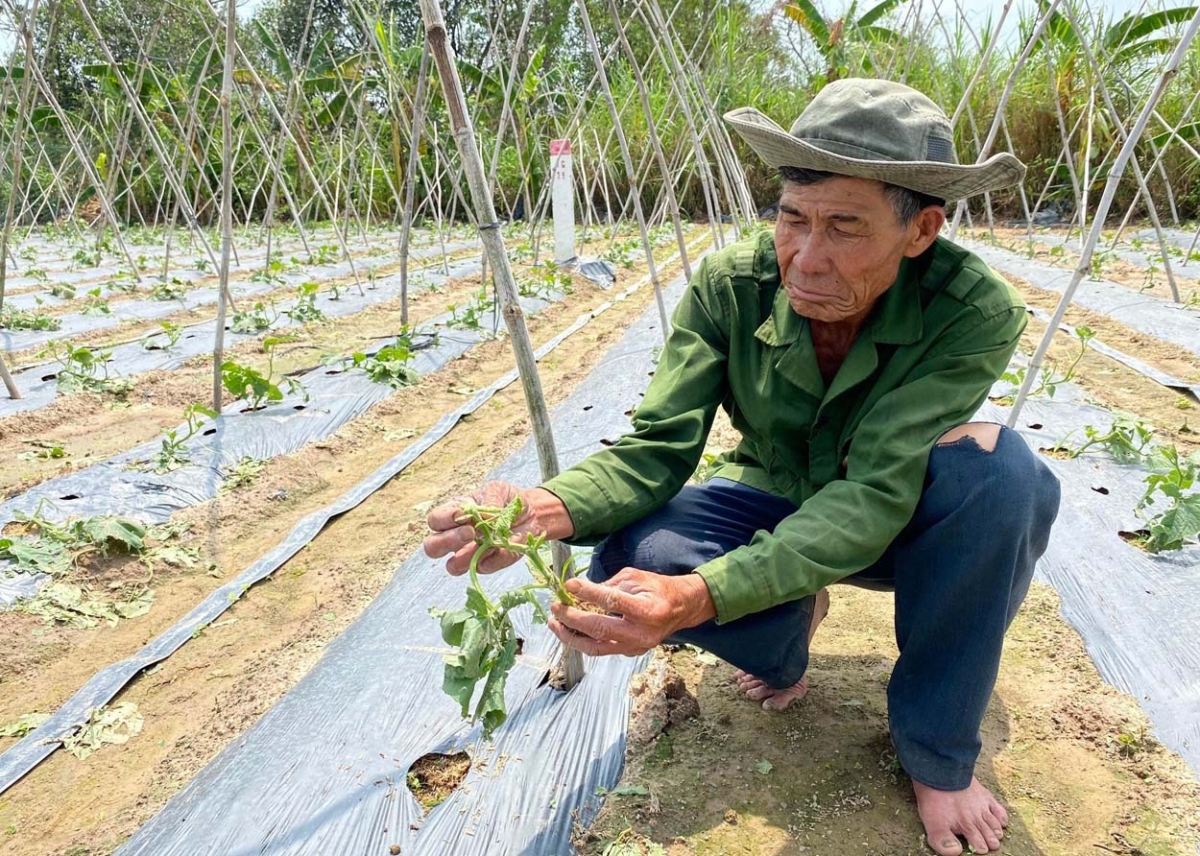 Dông lốc, mưa đá gây thiệt hại gần 6,8 tỷ đồng ở Kon Tum