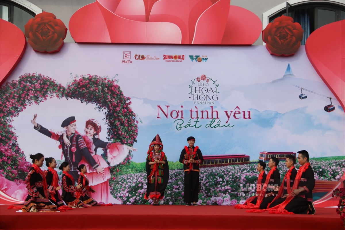 sa pa rose festival attracts thousands of visitors on opening day picture 2