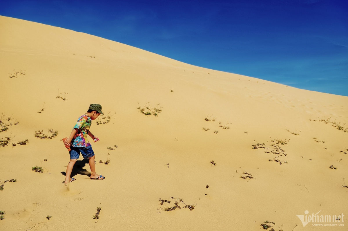 picturesque giant sand dunes across vietnam picture 10