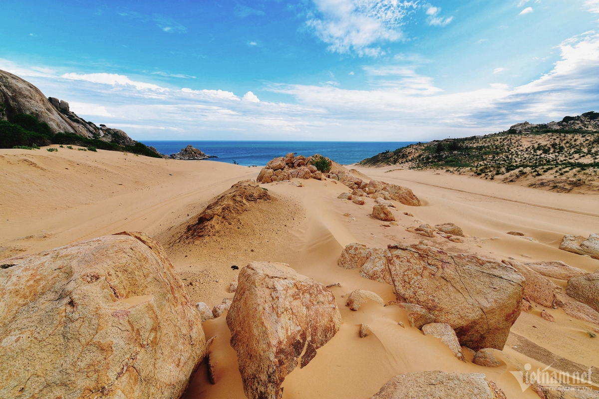 picturesque giant sand dunes across vietnam picture 13