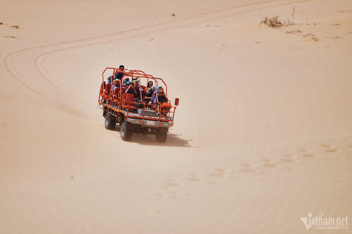 picturesque giant sand dunes across vietnam picture 14