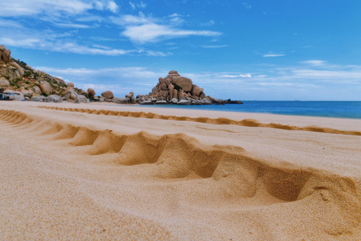 picturesque giant sand dunes across vietnam picture 16