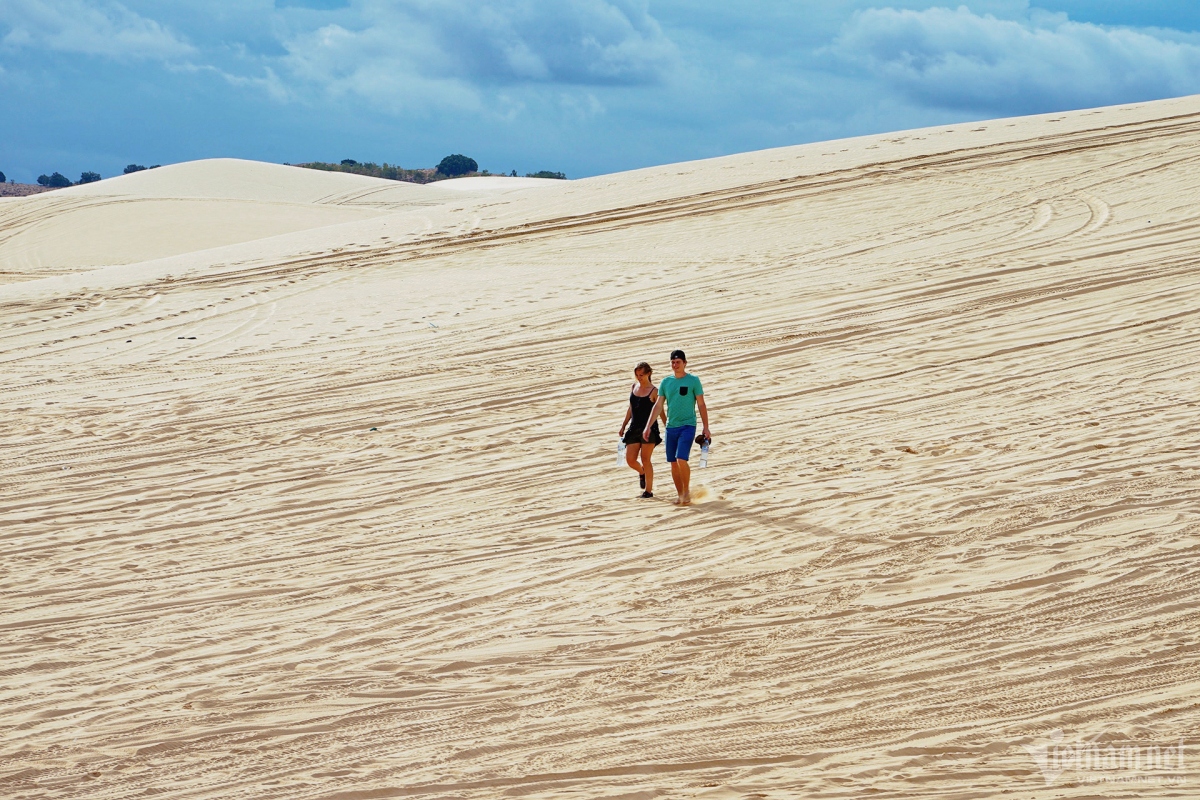 picturesque giant sand dunes across vietnam picture 2