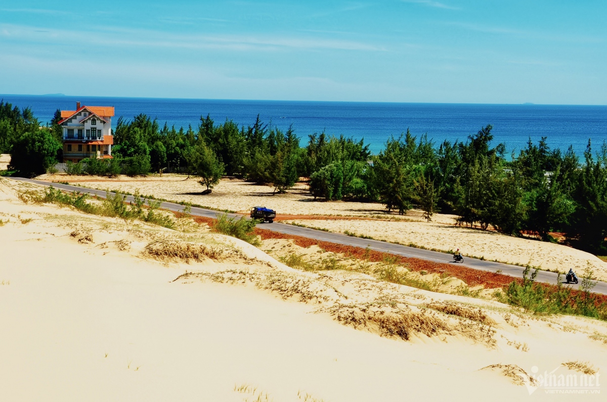 picturesque giant sand dunes across vietnam picture 8