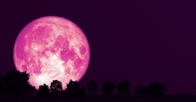 full pink moon to be visible in vietnam on evening of april 6 picture 1