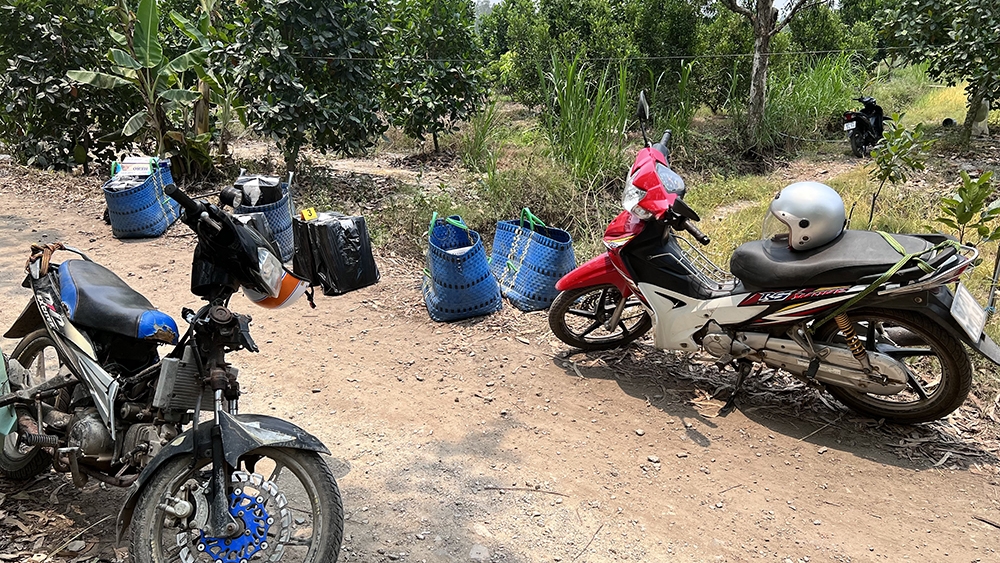 An Giang bắt giữ số lượng lớn thuốc lá lậu