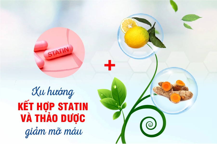 Kết hợp Statin và thảo dược Hướng đi mới trong điều trị mỡ máu cao