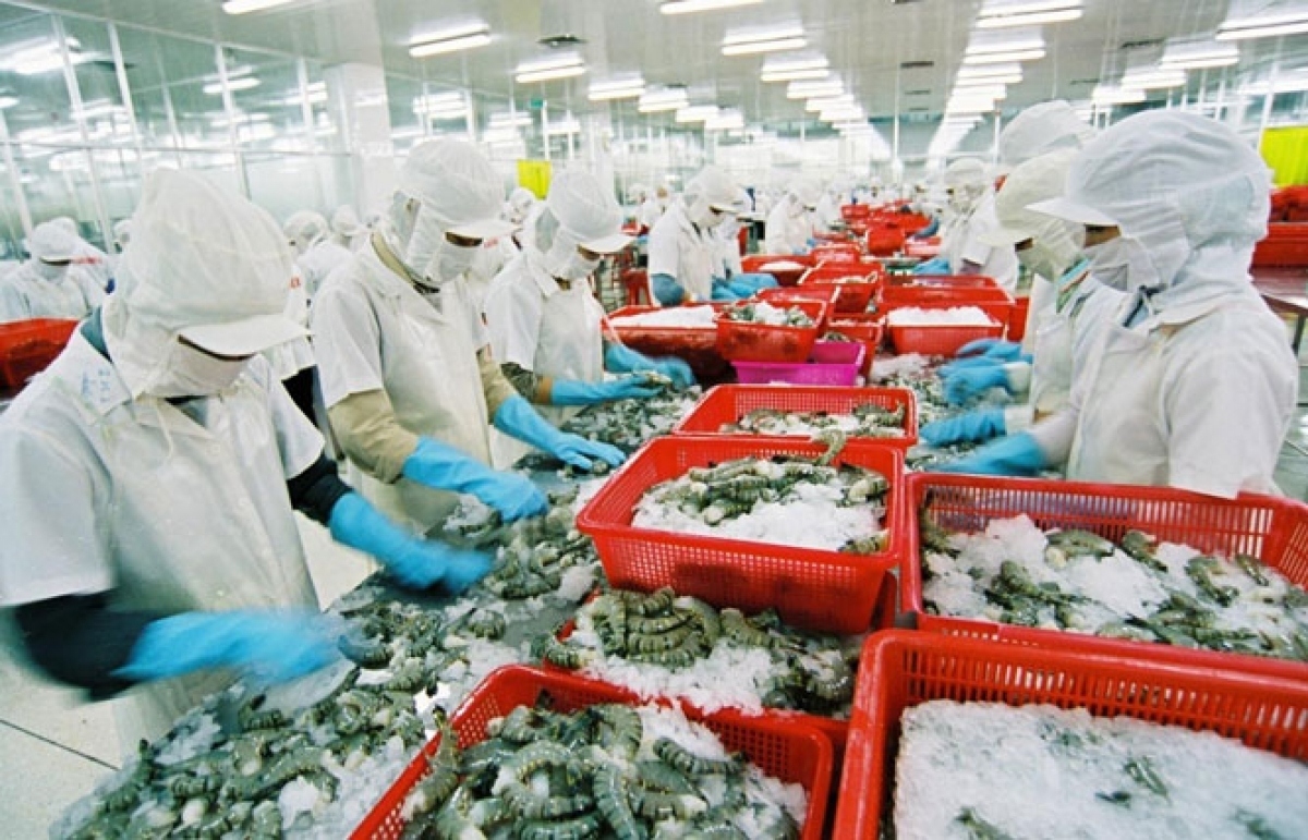 vietnamese seafood secures firm foothold in australian market picture 1