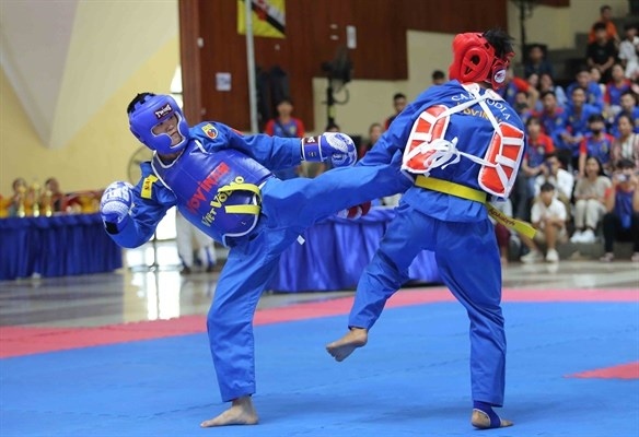 vovinam with mission to popularise vietnamese martial arts at sea games picture 1