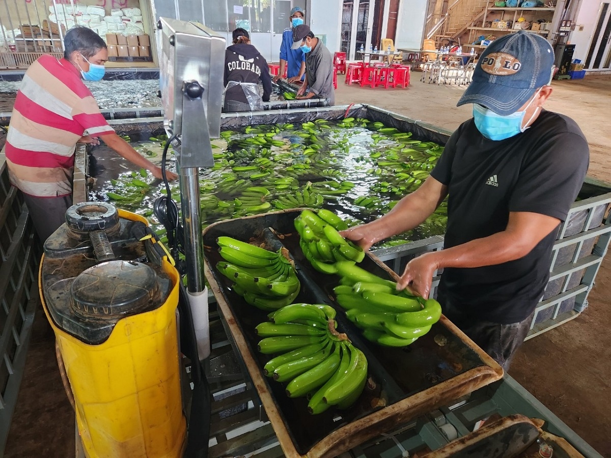 Bộ Công Thương yêu cầu DN chủ động kịch bản ứng phó khi xuất khẩu sụt giảm