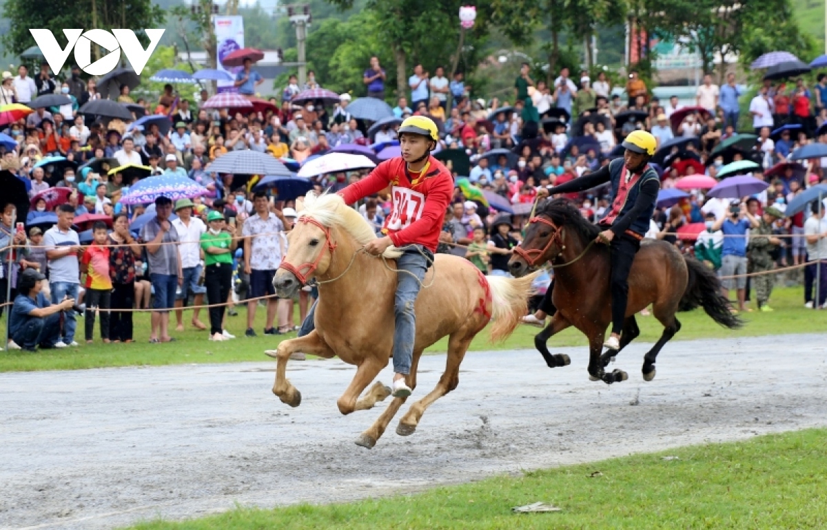 bac ha white plateau festival slated for early june picture 1