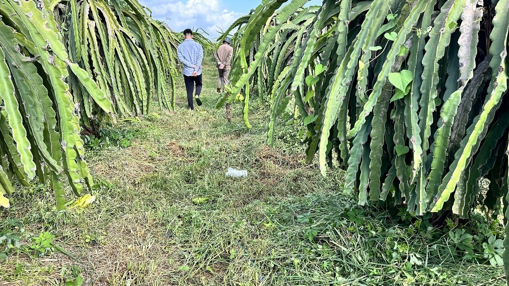 挽回老公：老公讲我脾性短好揣摸离婚，我该若何办？