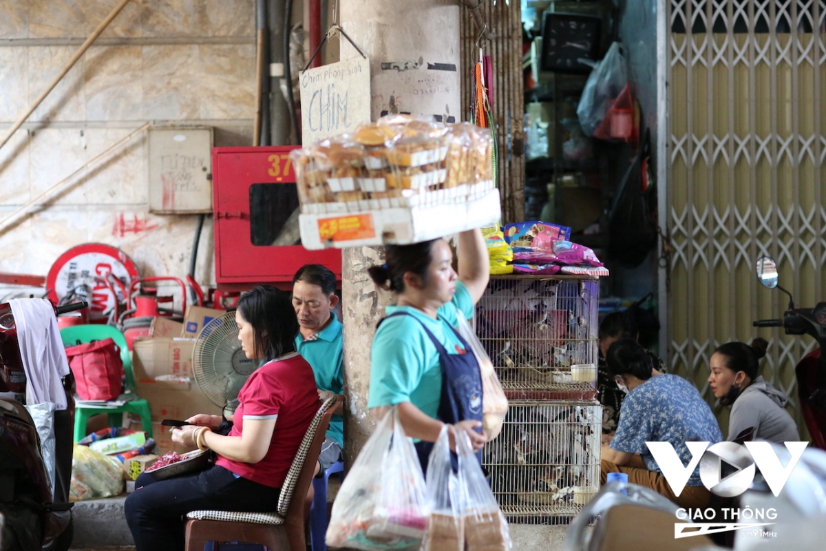 can canh cuoc song thuong nhat o cho lau doi va lon nhat o ha noi hinh anh 19