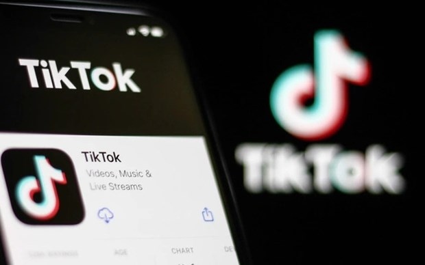 ministries, agencies to conduct comprehensive inspections of tiktok s operations picture 1