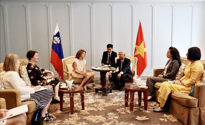 slovenian foreign minister visits ho chi minh city picture 1
