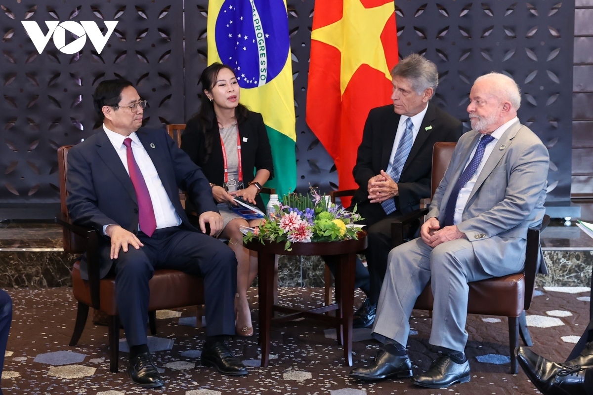 vietnamese cabinet leader meets with presidents of brazil, ukraine picture 1