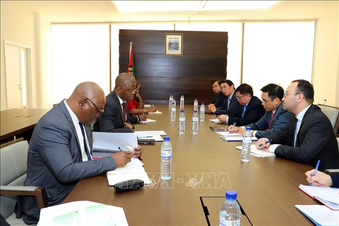 vietnam, mozambique boost agriculture cooperation picture 1