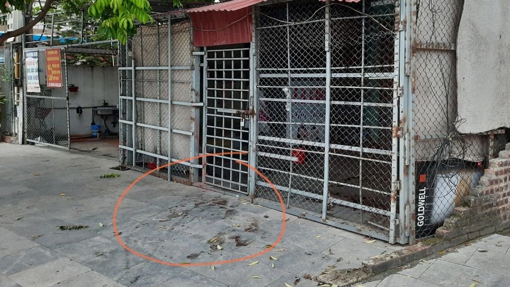 nu nhan vien quan ca phe thu gian bi dam tu vong hinh anh 1
