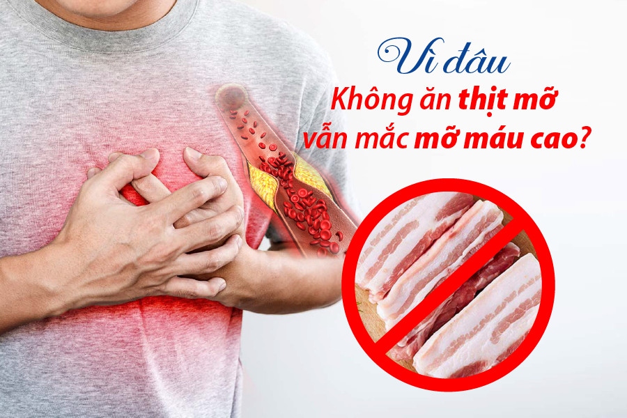 Không ăn thịt mỡ vẫn bị mỡ máu cao: Nguyên nhân do đâu?