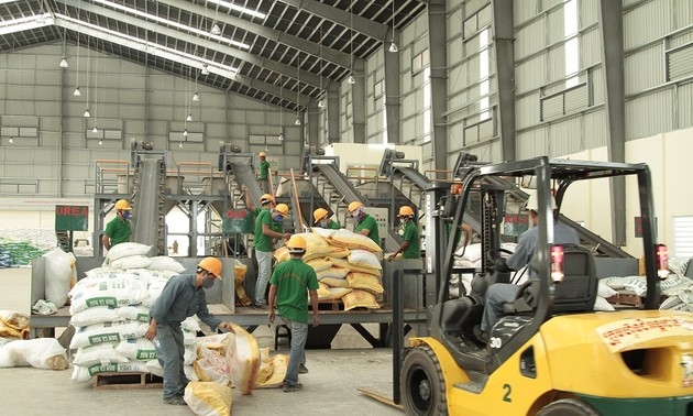 asean consumes half of vietnamese fertilizer exports picture 1