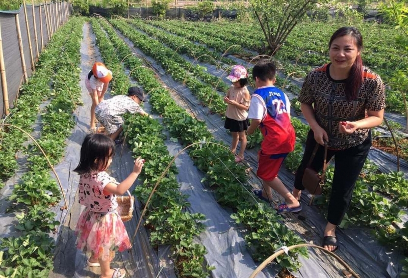 Du lịch trải nghiệm hút khách ở Lai Châu