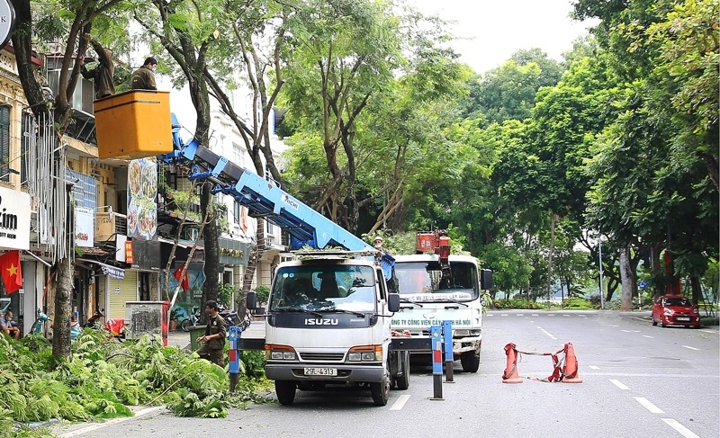 ha noi ra soat an toan cay xanh truoc mua mua bao hinh anh 2