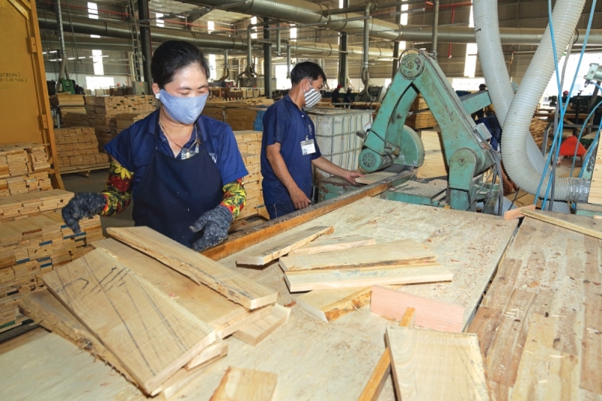 vietnamese wood exports show initial signs of recovery picture 1