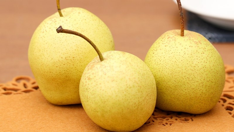 Người bị tiểu đường nên ăn những loại trái cây nào?