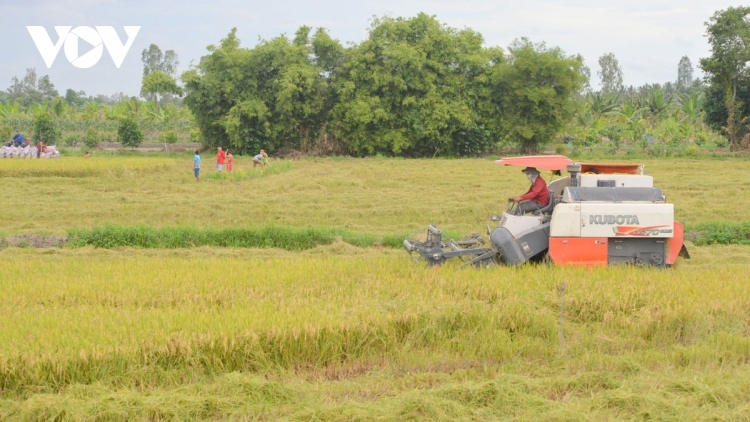 Xuất khẩu gạo tiếp tục là điểm sáng nổi bật trong tháng 4/2023