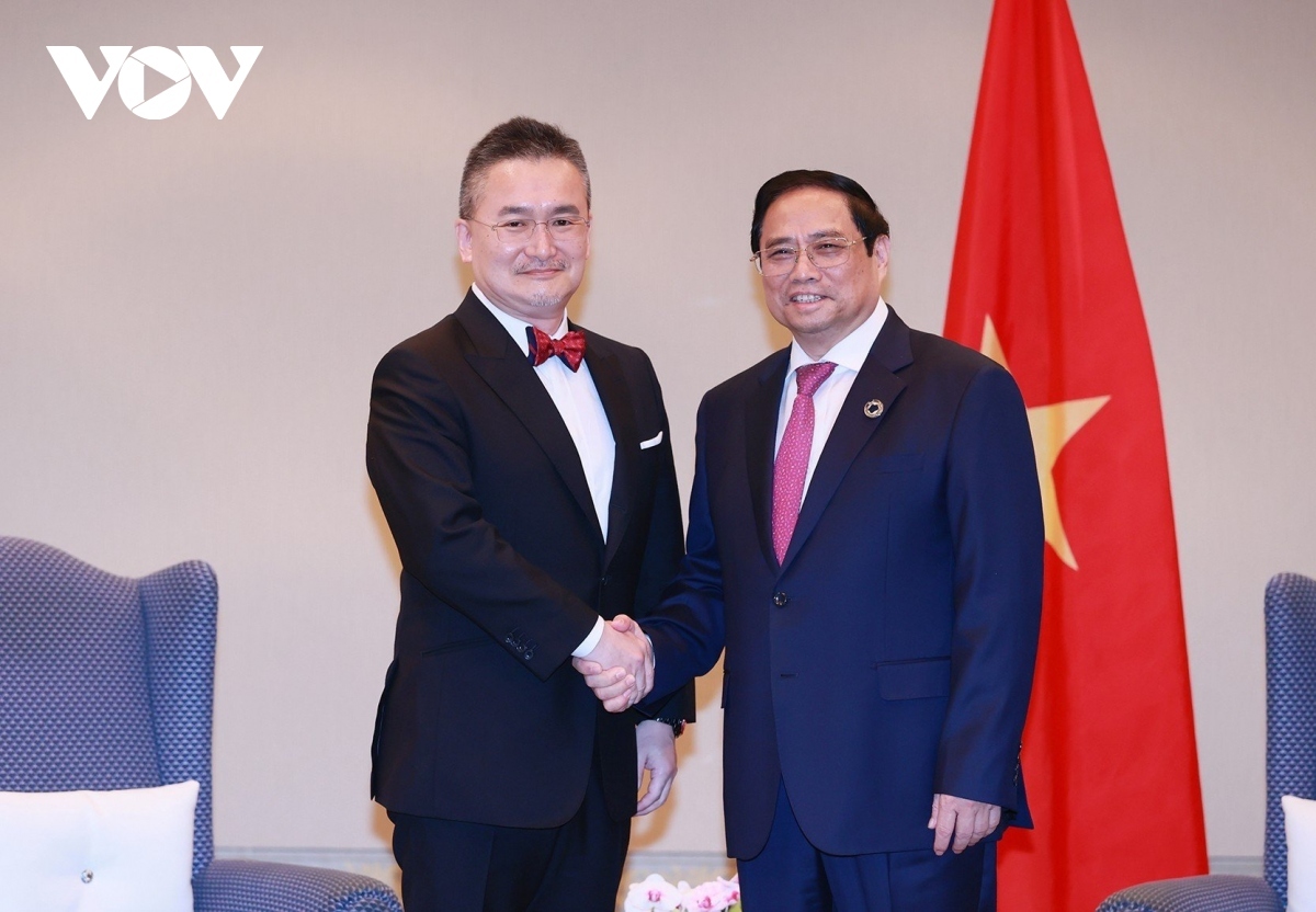 vietnamese government chief receives japanese corporate executives picture 2