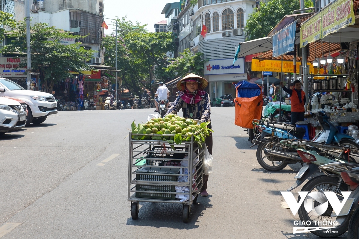 muon kieu nghi trua giua nang nong 40 do c hinh anh 24