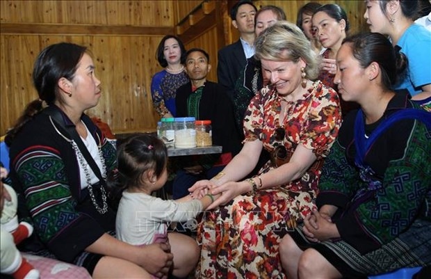 belgian queen impressed by vietnam s progress in child protection picture 1