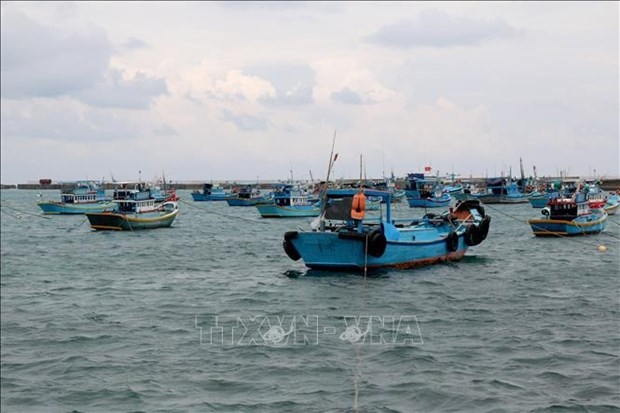 binh thuan province promotes awareness to fight illegal fishing picture 1