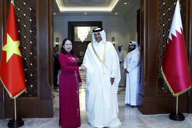 vietnam looks to promote comprehensive cooperation with qatar vice president picture 1