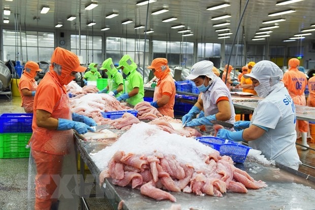 fta to offer big opportunities for vietnamese exports to israel insiders picture 1