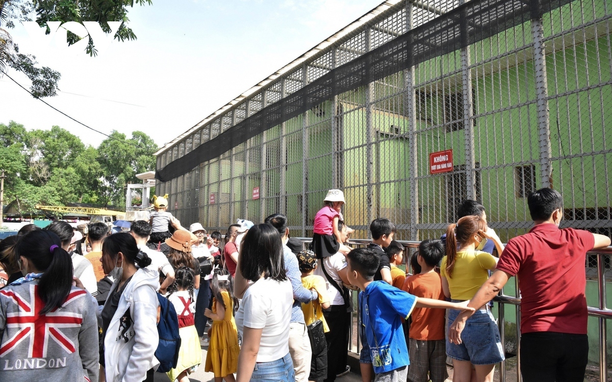 walking zones, parks crowded with holidaymakers picture 14