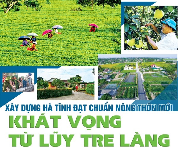 ha tinh tu soi, tu sua de phat huy tinh than tu giac cua can bo, dang vien hinh anh 3