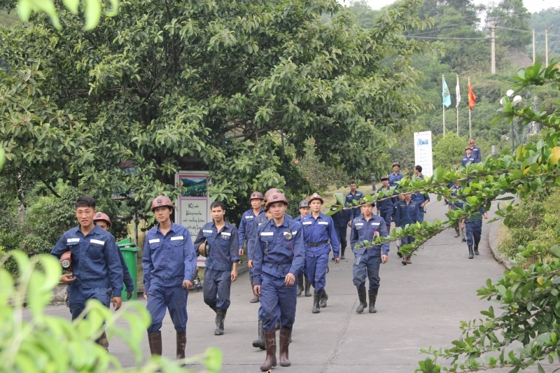 Ngành than đảm bảo cung ứng đủ than cho các nhà máy nhiệt điện