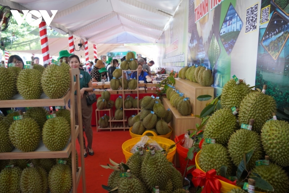 durian exports witness steep rise over five-month period picture 1