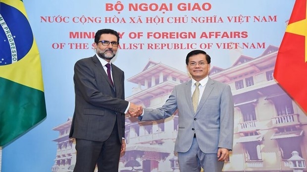 vietnam-brazil comprehensive partnership to go further picture 1